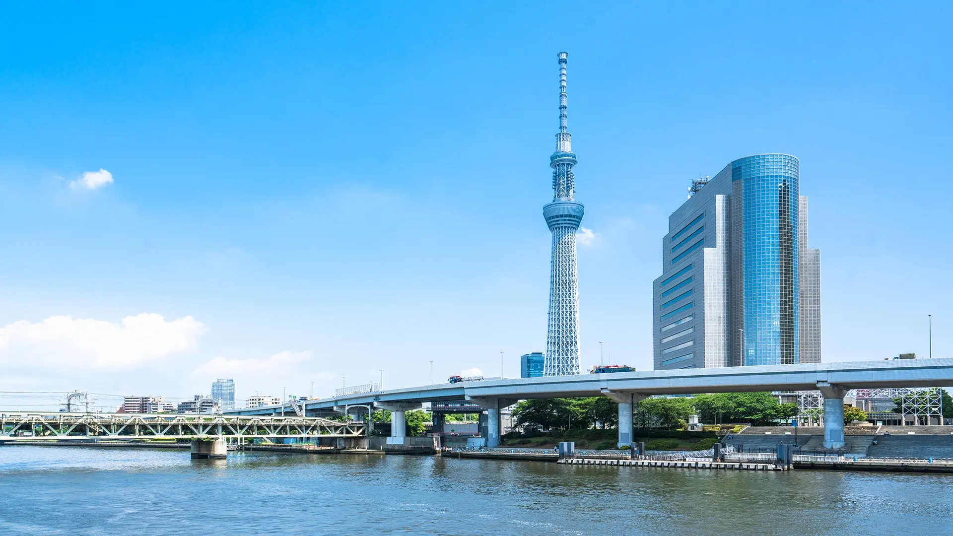 Sao Paulo - Tokyo image