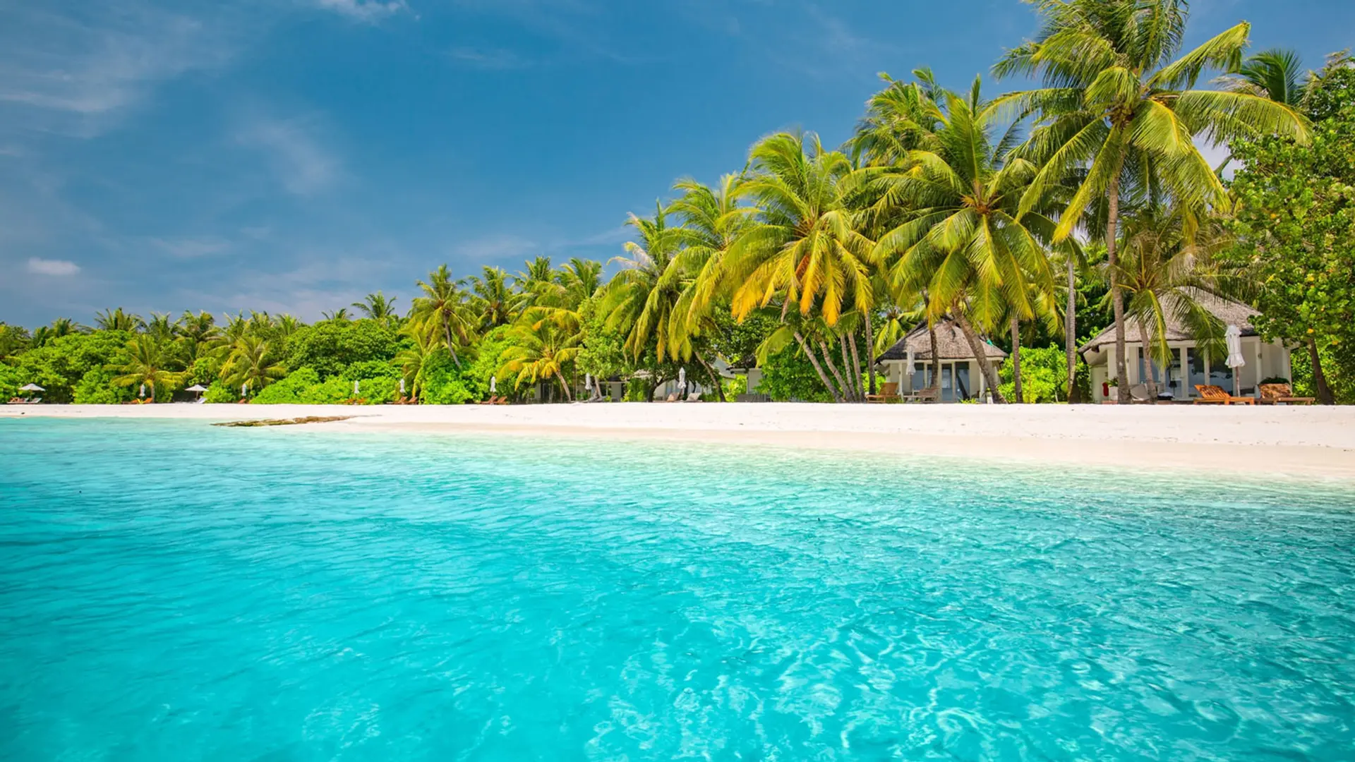 The Best Beach Clubs in the World image